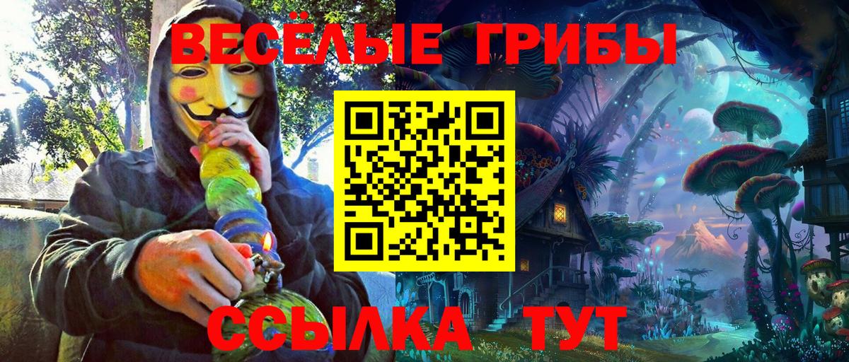 Галлюциногенные грибы Psilocybine cubensis Северобайкальск
