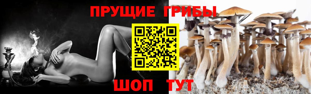 сколько стоит  Вход с VPN  Северобайкальск  Галлюциногенные грибы Magic Shrooms 